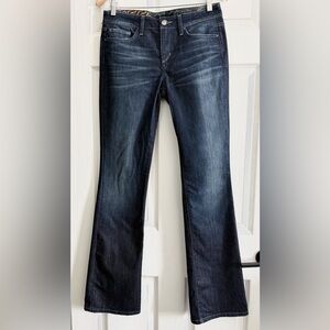 Joe's Jeans Dark Wash Flare Denim